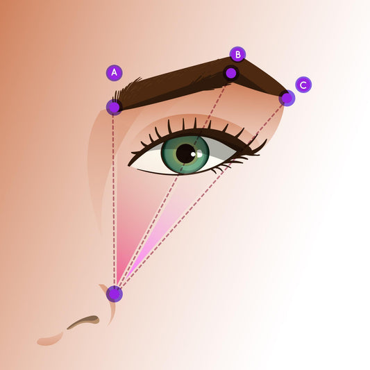 What Are the Features of a Beautiful Eye? (Upper and Lower Eyelids)